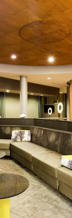 SpringHill Suites by Marriott McAllen Convention Center，位于麦卡伦的酒店