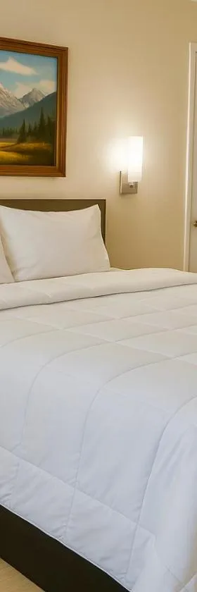 River Forest Inn，位于贝尔顿的酒店