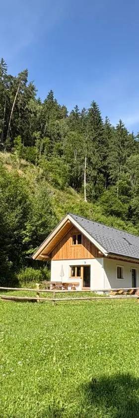 Grobmbauerhütte，位于Sankt Stefan ob Leoben的酒店