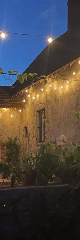 La Vigne et le Chardon，位于Barrais-Bussolles的酒店