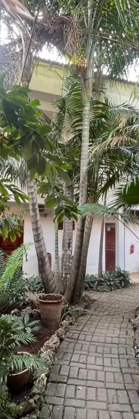 27 Cafe Zanzibar Airport Hotel，位于桑给巴尔的酒店