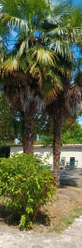 Annexe indépendante，位于Bourron-Marlotte的酒店