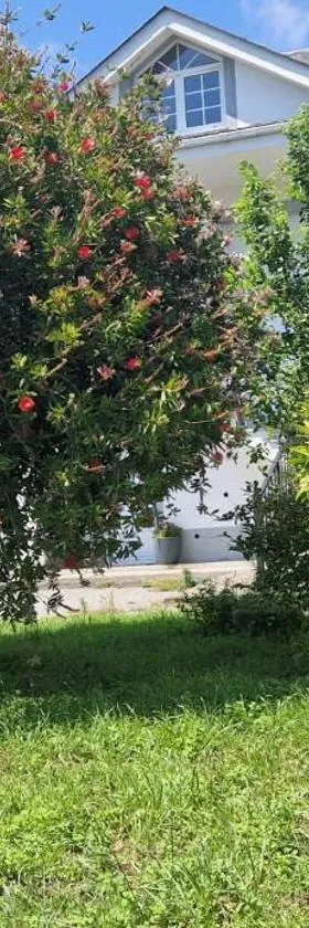 El Rincón Del Silencio，位于Moucide的酒店