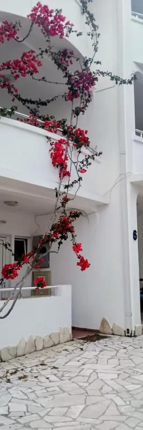 Vila Rada，位于安吉的酒店
