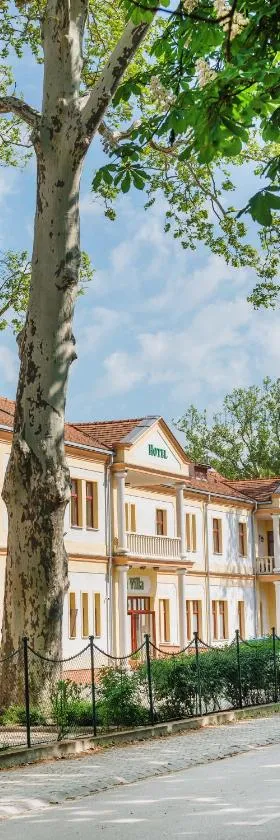 Hotel Anna Villa，位于巴拉顿城堡的酒店