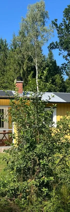 Almagården lantlig miljö，位于Svängsta的酒店