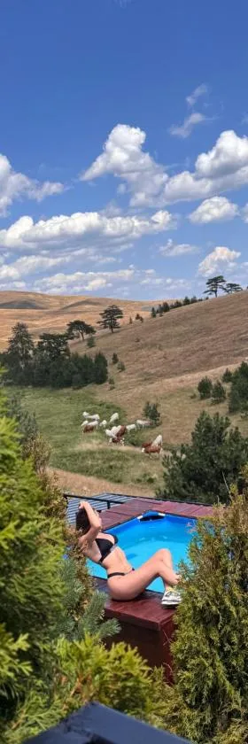 Zlatibor Wild nest Rabbit Lux，位于兹拉蒂博尔的酒店
