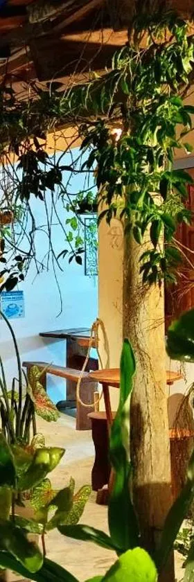 Pousada Casa de Naue - Ilha de Boipeba，位于伊尔哈德博伊巴的酒店