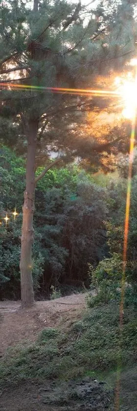 Glamping de Matanzas，位于马坦萨斯的酒店
