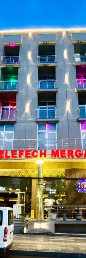 Aselefech Merga Hotel and Spa，位于亚的斯亚贝巴的酒店