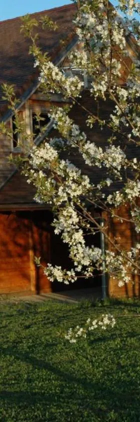 Chalet familial avec piscine, jardin et activités près du vignoble de Saint-Pourçain - FR-1-489-151，位于Louchy-Montfand的酒店