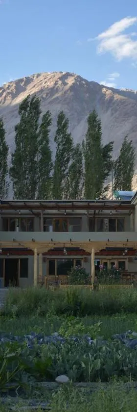 Nubra Ecolodge，位于Liekzan的酒店