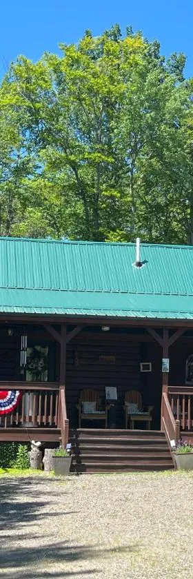 Mountain-Top-Hideaway Stay in a log cabin on a private rd! Swim, hike, explore a true mountain experience，位于North Blenheim的酒店