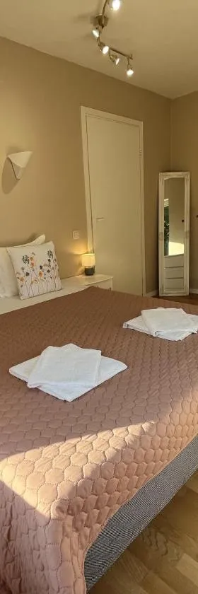 R-Joki Apartments，位于Ravijoki的酒店