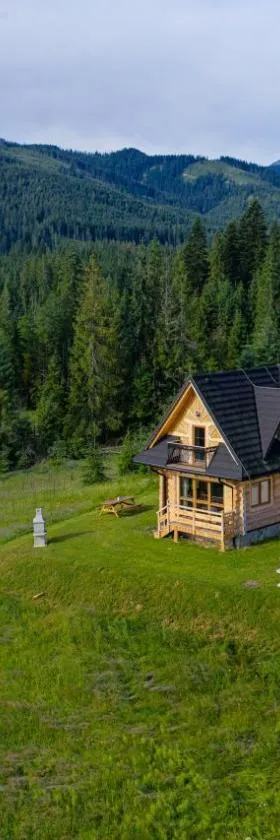 Niedźwiedź nad Chochołowską，位于维托韦的酒店