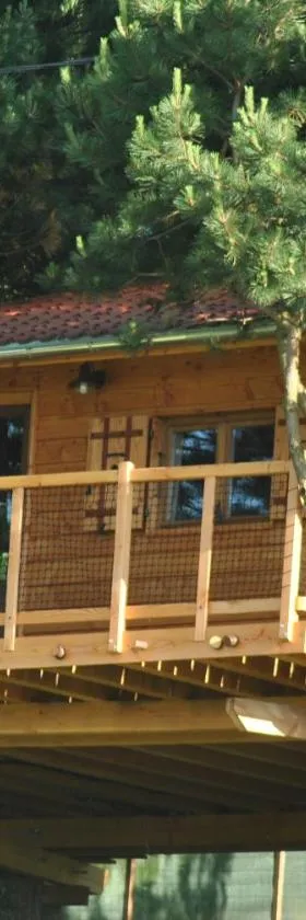 艾图纳尔贝沏山林小屋，位于Chaussan的酒店