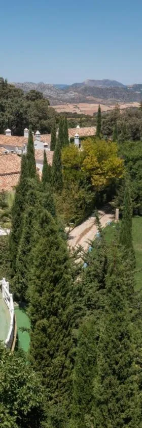 Los Pilares de Ronda Boutique & Hotel，位于隆达的酒店