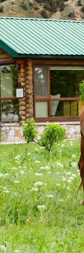 Wooden House in WildLife Refuge，位于Vedi的酒店