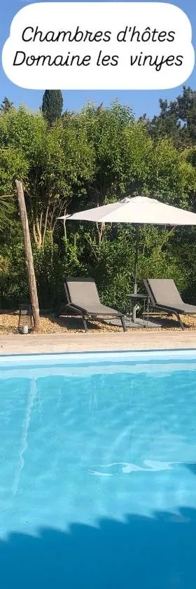 DOMAINE LES VINYES，位于Pollestres的酒店