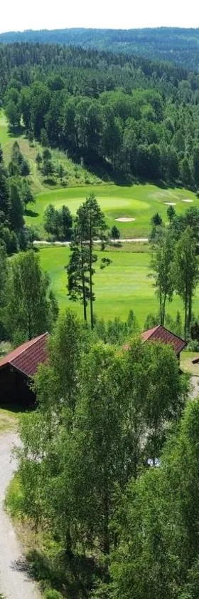Noretjärns Stugby，位于奥尔延的酒店