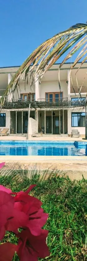 Alcyone Residence - Ocean View Villa，位于Makunge的酒店