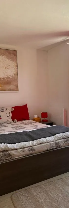 Loft sympa à Sassenage，位于萨瑟纳日的酒店