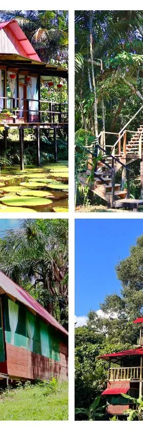 Reserva Natural Natura Park，位于Puerto Nariño的酒店