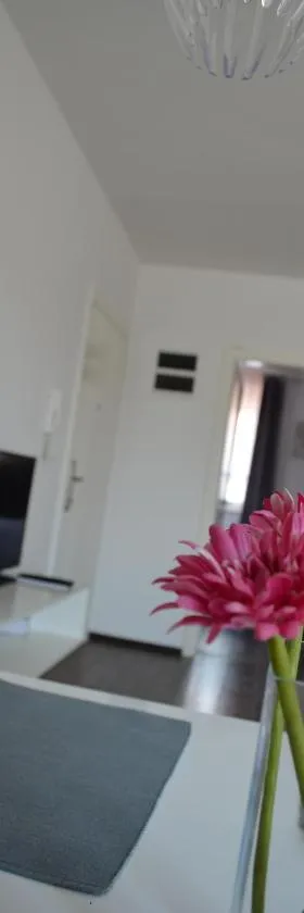 Apartment Meli，位于赛斯韦泰的酒店