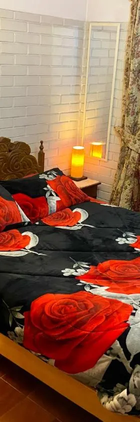 Habitacion Viña ConchayToro，位于圣地亚哥的酒店