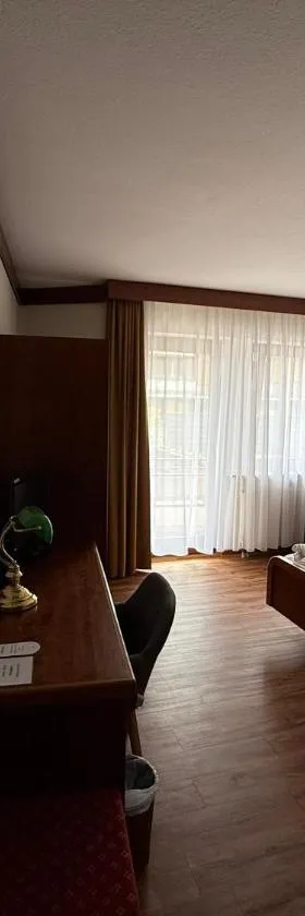 Hotel Post Viernheim，位于菲尔恩海姆的酒店