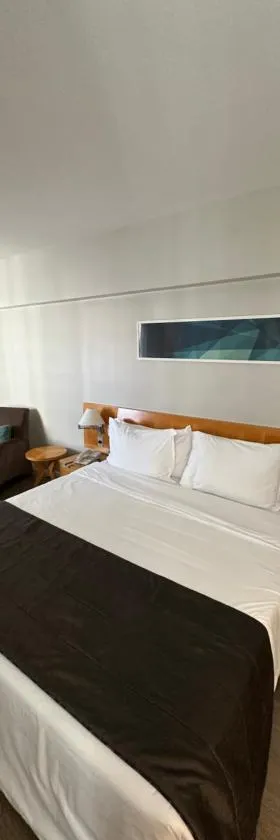 Sol Alphaville Hotel & Residence，位于巴鲁埃里的酒店