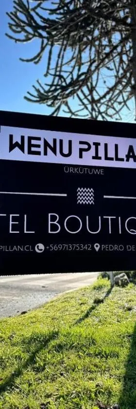 Hotel Boutique WenuPillan，位于比亚里卡的酒店