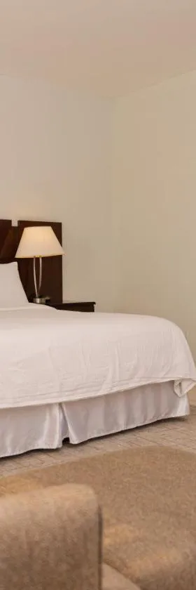 Hotel Los Andes，位于圣佩德罗苏拉的酒店