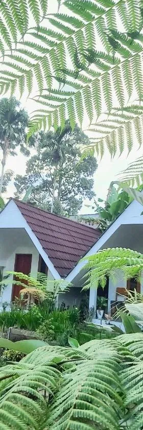 Stokel Cottage，位于普拉亚的酒店