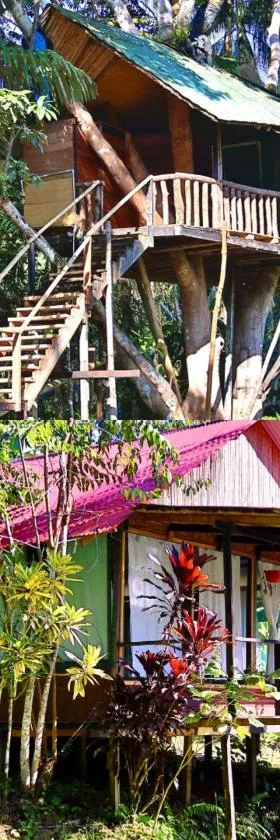 Reserva Natural Natura Park，位于Puerto Nariño的酒店
