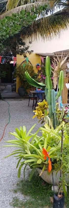 Pousada Sol das Amendoeiras，位于萨夸雷马的酒店