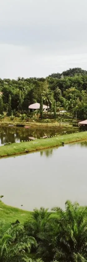 The Farm，位于Paya Rewak的酒店