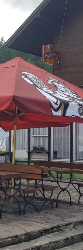 尼科酒店，位于什平德莱鲁夫姆林的酒店