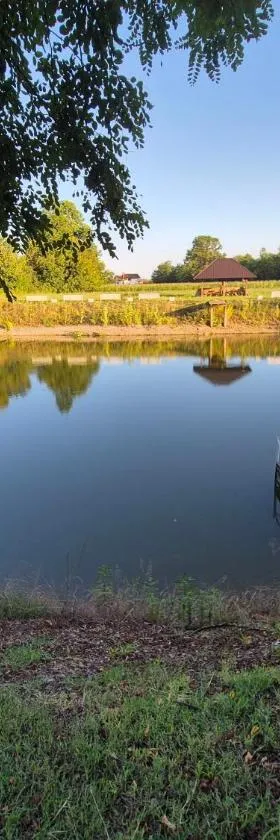 Fisherman's paradise, House and LAKE，位于Donji Žabar的酒店