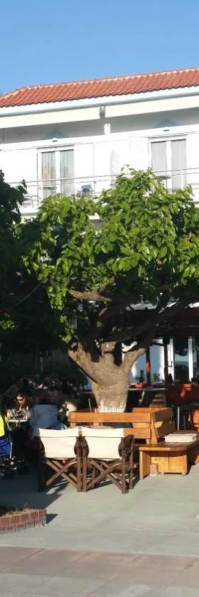 Mirtia Hotel，位于佩弗奇的酒店