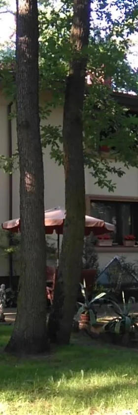 Villa Podkowa，位于Podkowa Leśna的酒店