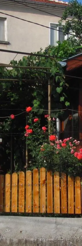 Guesthouse Elena，位于贝洛格拉奇的酒店