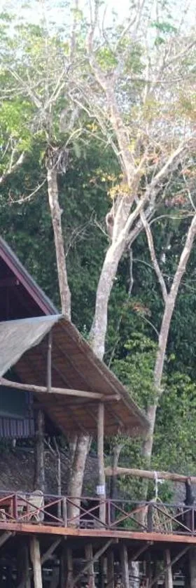 婆罗洲天然苏克毕丽特山林小屋，位于比利特的酒店