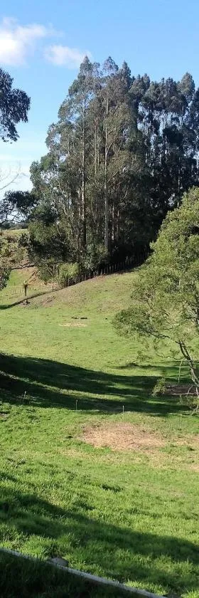 罗灵丘陵乡村住宿加早餐旅馆，位于陶朗加的酒店