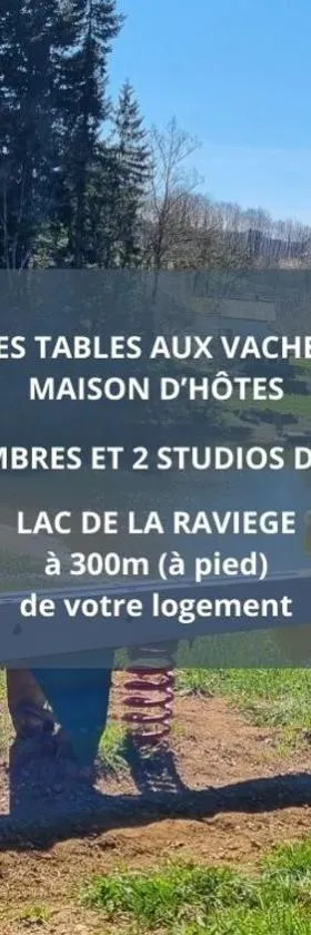 La Salvetat - Studios équipés - Les Tables Aux Vaches，位于拉萨尔韦塔的酒店