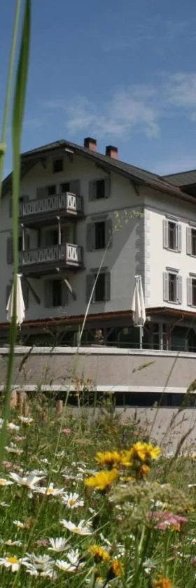 The Alpina Mountain Resort，位于特施尔茨陈的酒店
