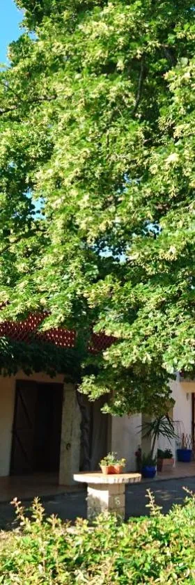 马斯鲁草原乡村民宿，位于Raphèle的酒店