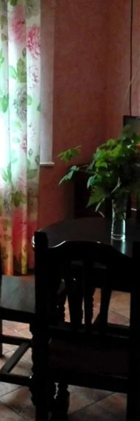 Apartamentos Los Balcones，位于蒂内奥的酒店
