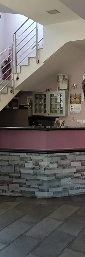 Hostel Kristal，位于温科夫齐的酒店