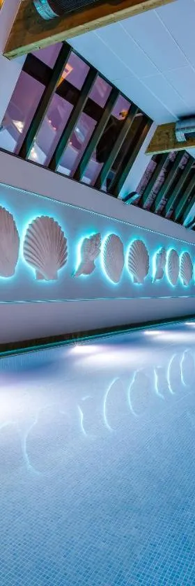 奥罗拉家族SPA酒店，位于米兹多洛杰的酒店